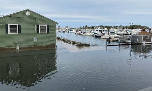 Flooded Scituate, MA Harbor Coast Guard Station